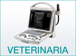 Digimed Veterinaria