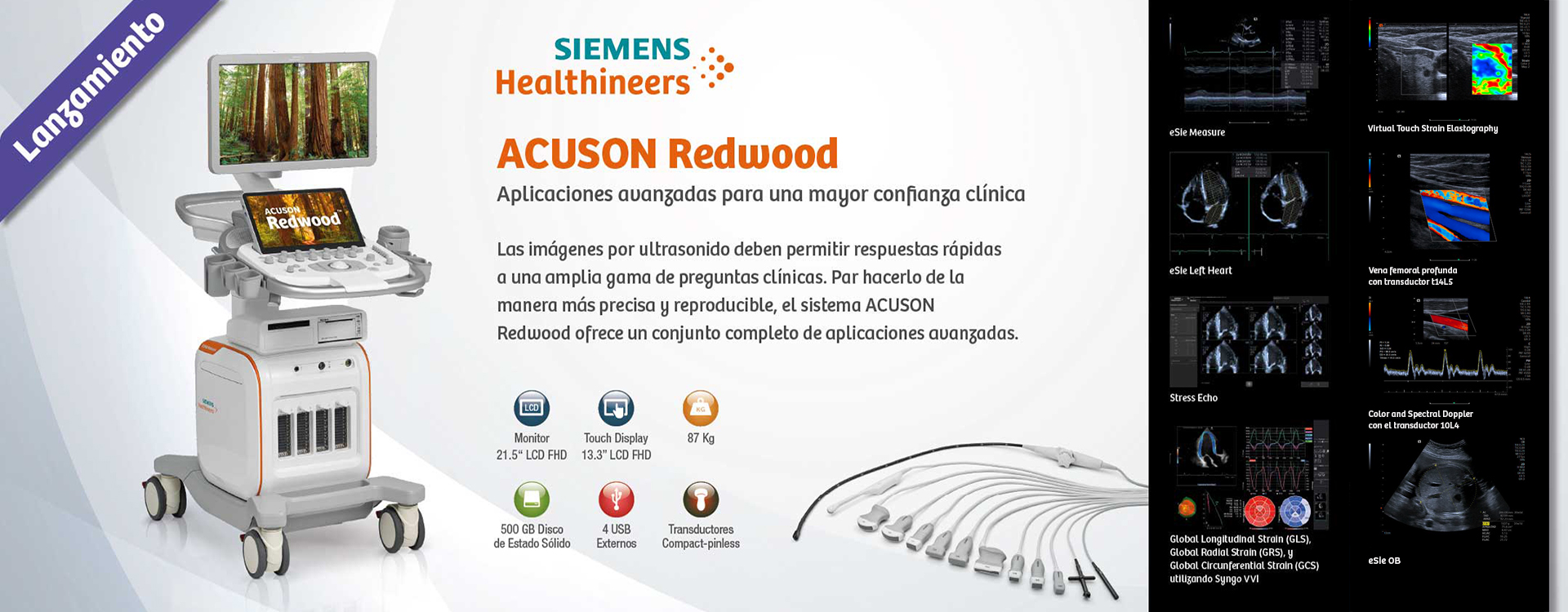 Siemens Acuson Redwood