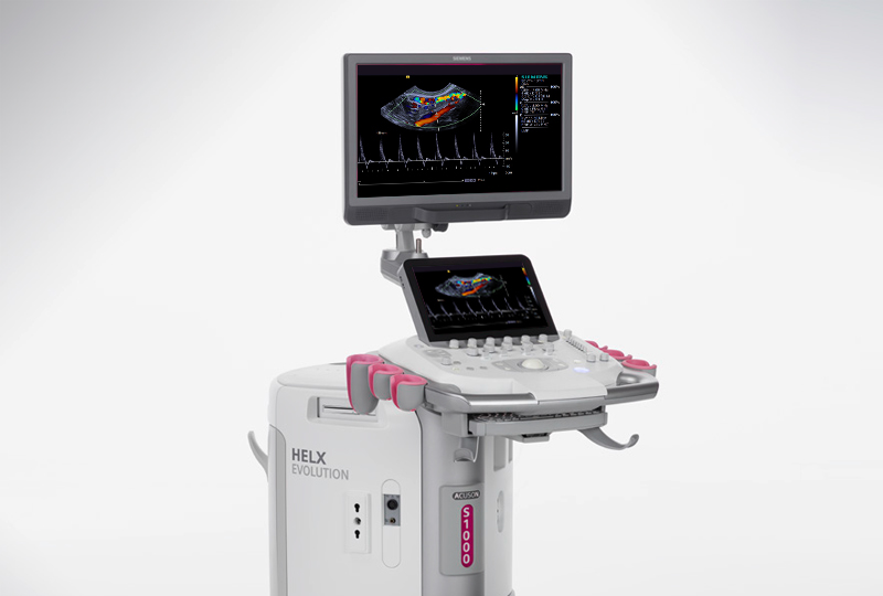 Siemens S1000