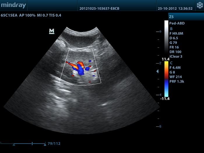 Mindray Z5 Vet