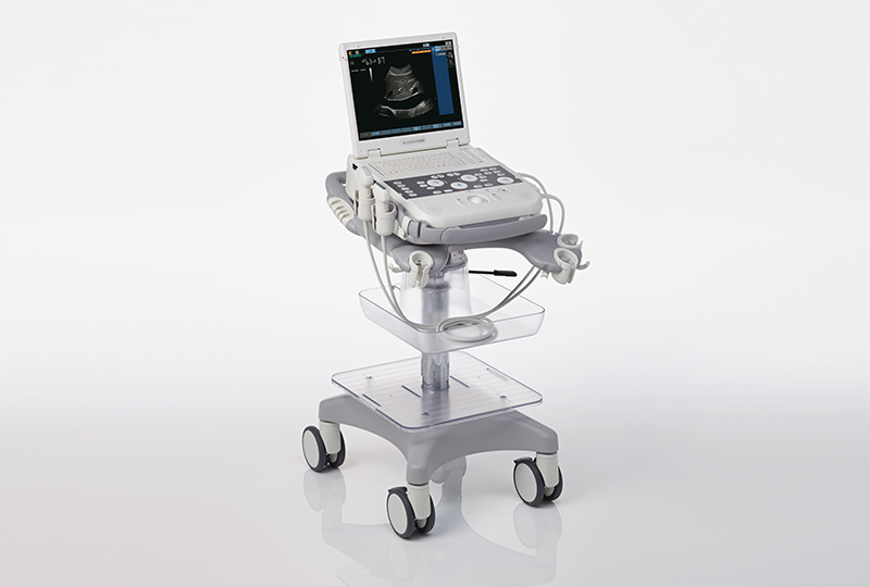 Siemens Acuson P300