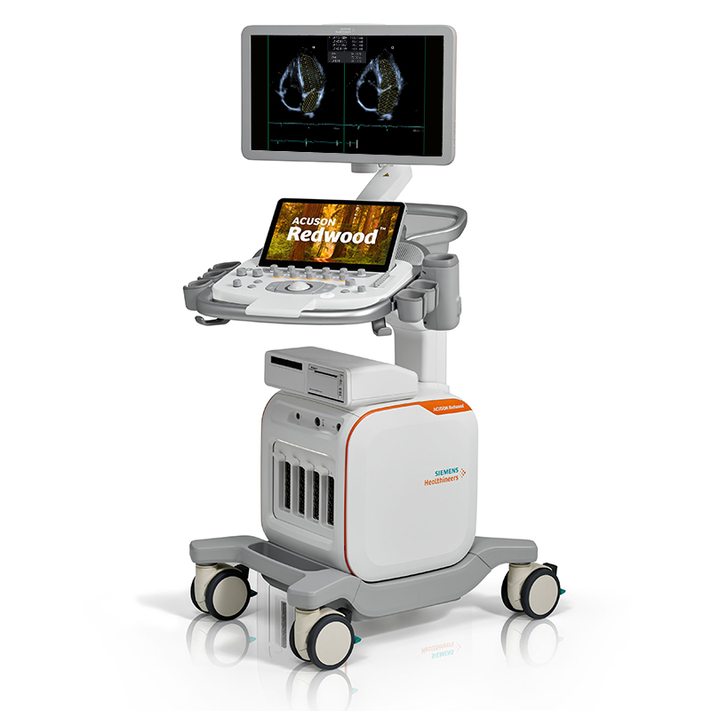 Siemens Redwood