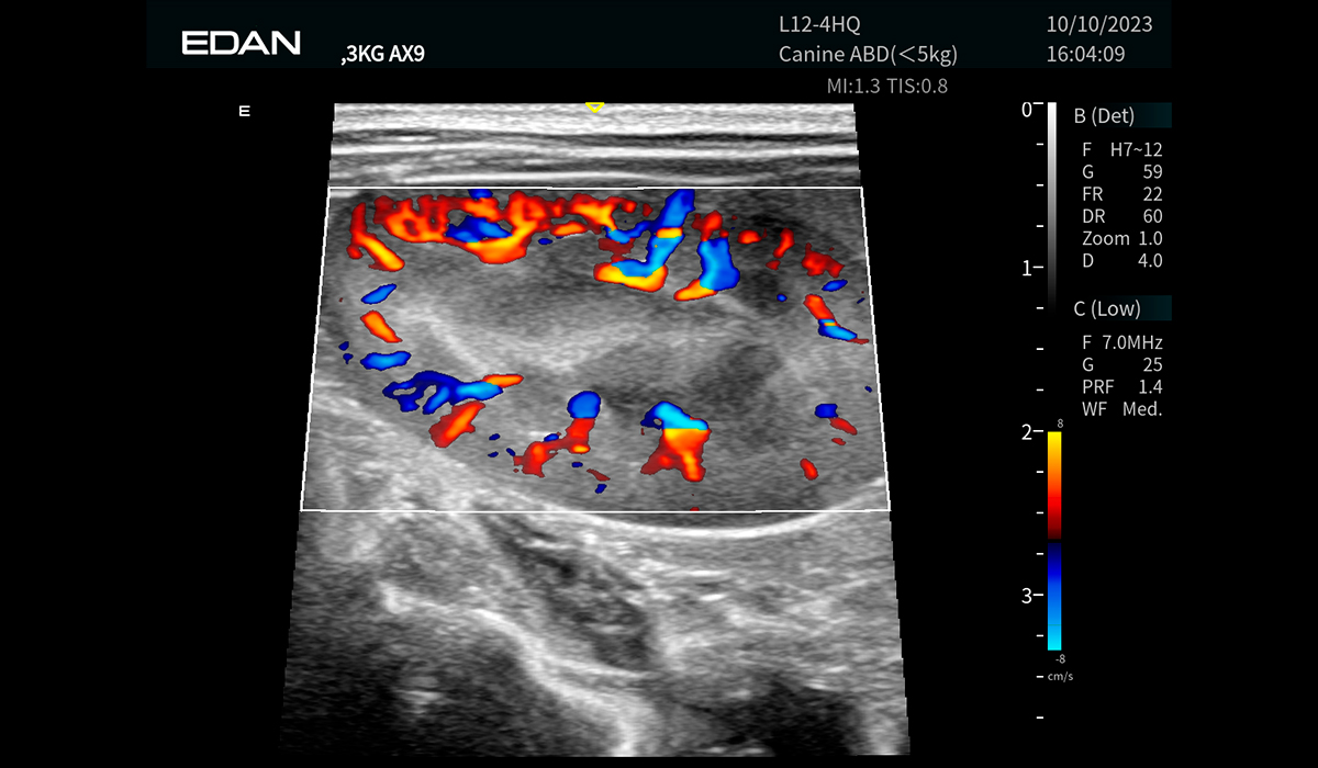 Acclarix AX9 Vet