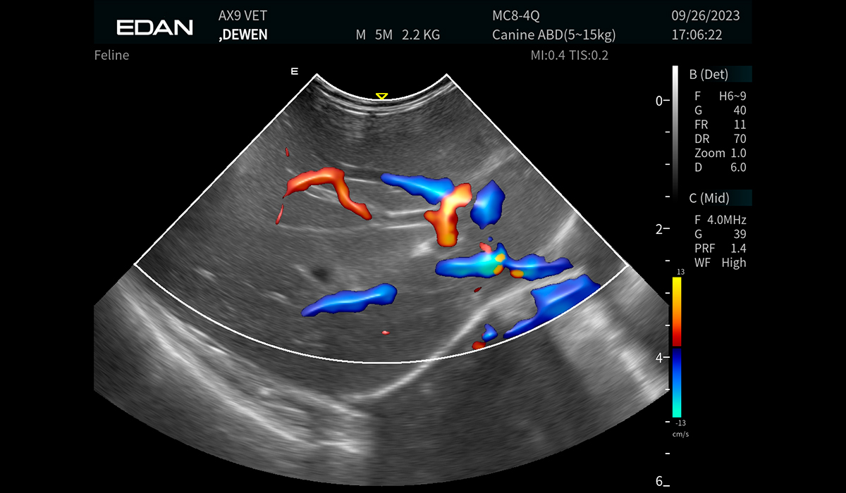 Acclarix AX9 Vet