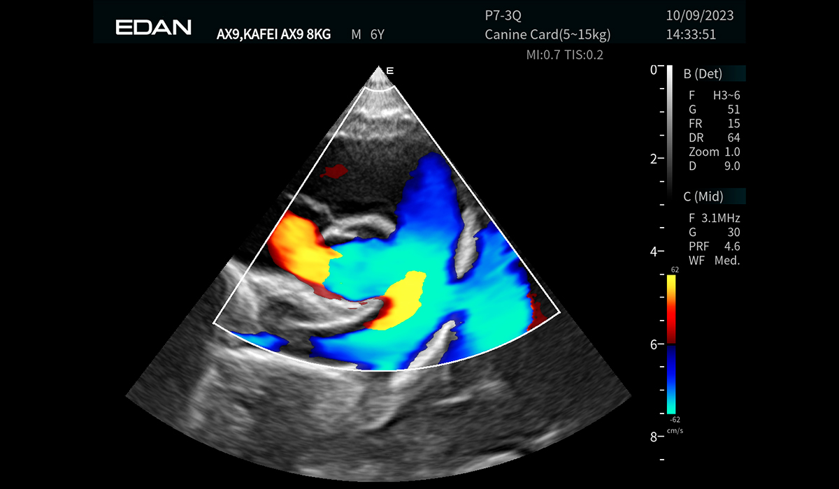 Acclarix AX9 Vet