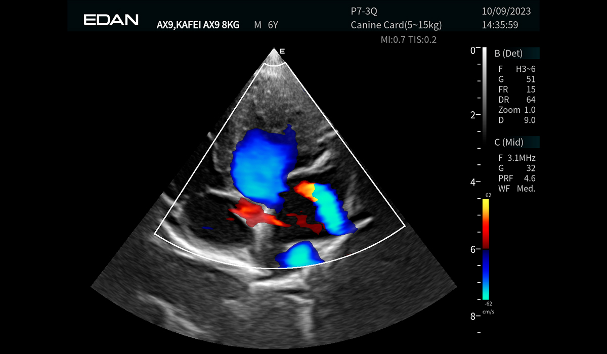 Acclarix AX9 Vet