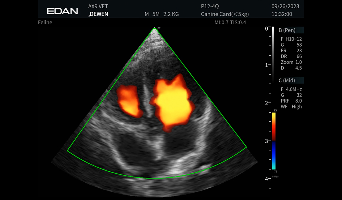 Acclarix AX9 Vet