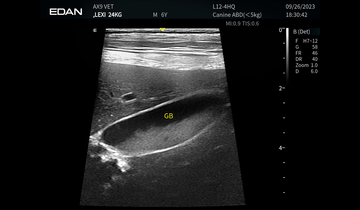 Acclarix AX9 Vet