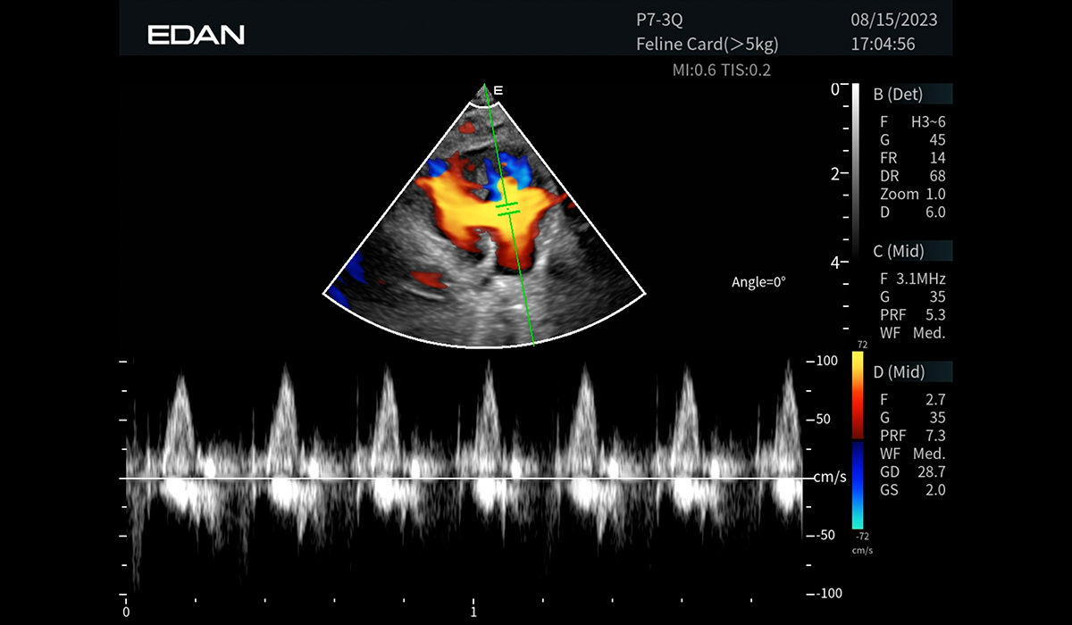 Acclarix AX9 Vet