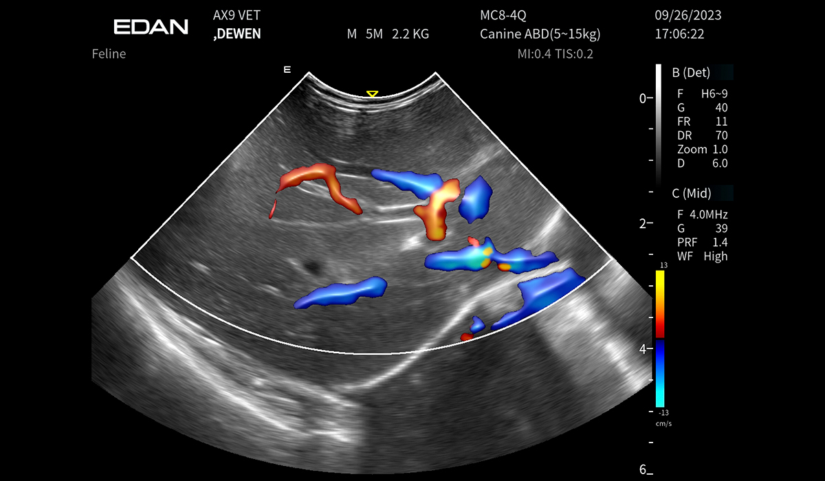 Acclarix AX9 Vet